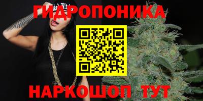 молекула духа Славянск-на-Кубани