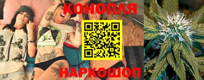 дурь Славгород