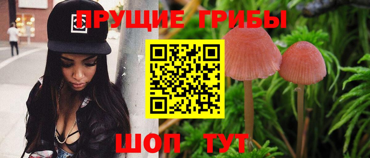 Орехово-Зуево  Галлюциногенные грибы мухоморы  Вход с VPN 