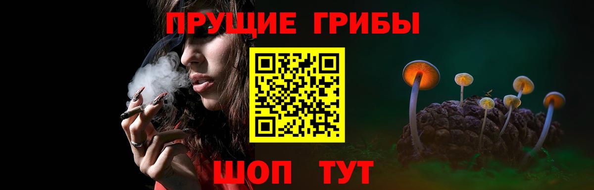 Галлюциногенные грибы GOLDEN TEACHER Орехово-Зуево